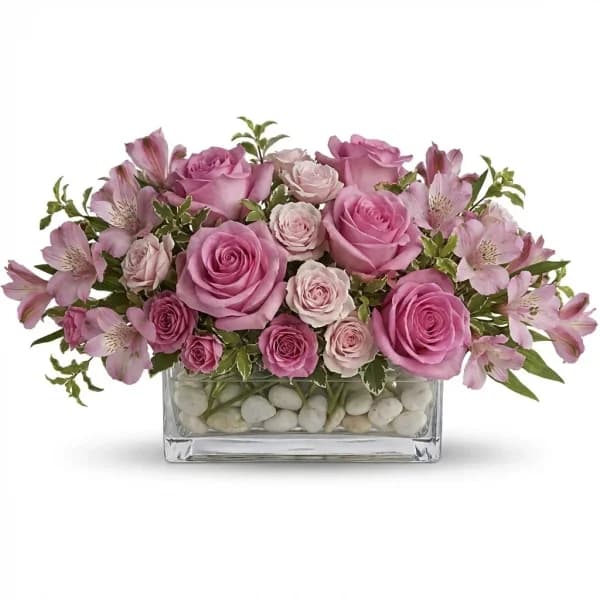Lustrous Desire Blooms
