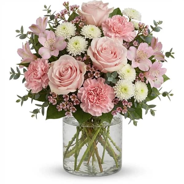 Petal Morning Blooms