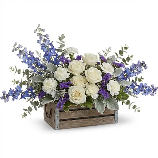 Coastal Indigo Blooms